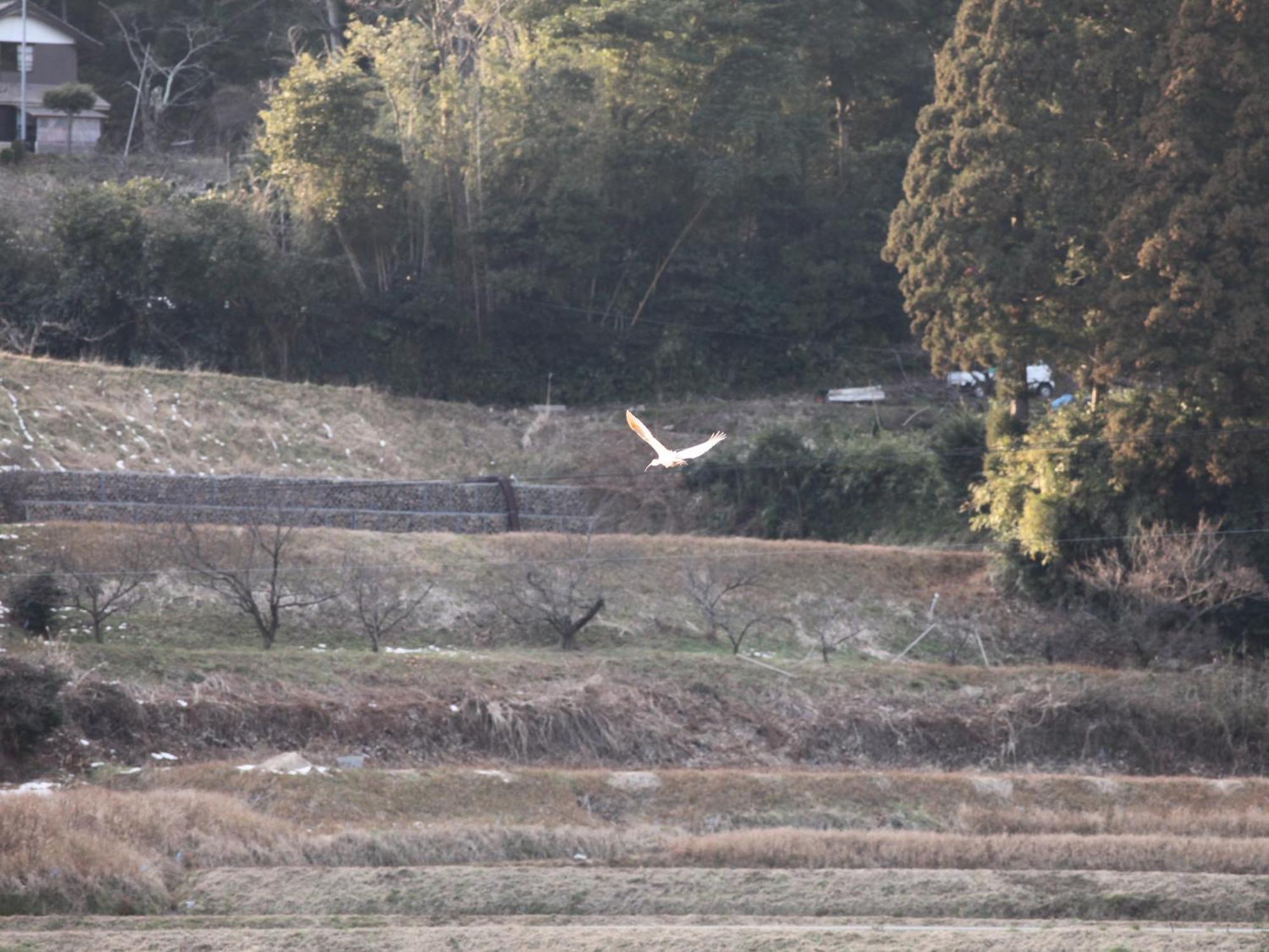 Fureaihouse Shiodu No Sato Hotel Sado Luaran gambar